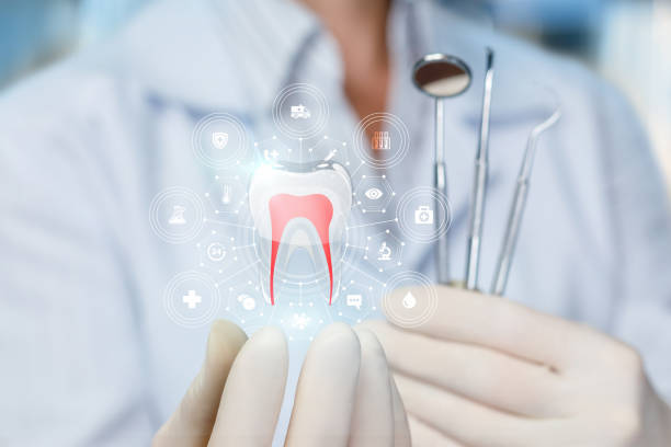 Professional Holistic Dental Care Services in Westlake, TX